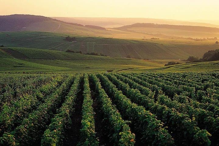Private Full-Day Champagne Tour from Paris to Reims & Epernay