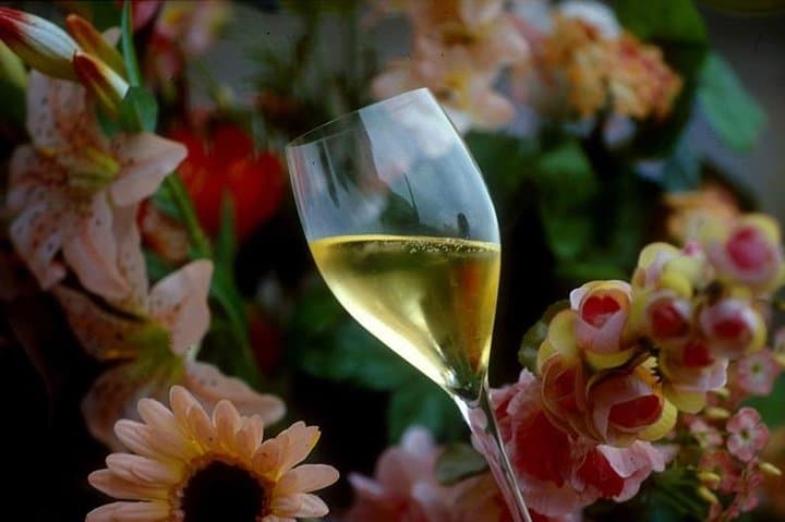 Private Full-Day Champagne Tour from Paris to Reims & Epernay photo 3