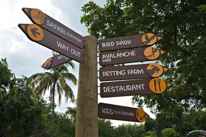 Full-Day Dolphin Swim & Casela Nature Park Tour — Rivière Noire, Mauritius photo 2