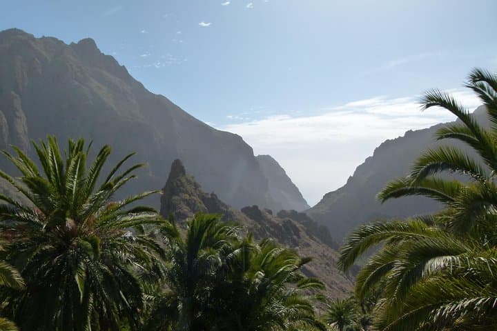 Tenerife Highlights Full-Day Tour: Teide, Icod de los Vinos, Garachico & Masca
