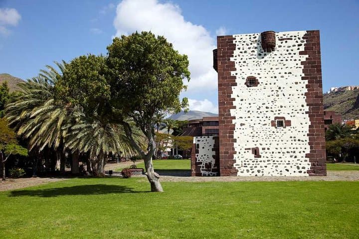 La Gomera Day Trip from Tenerife — Garajonay, El Cedro Forest & Roque Agando
