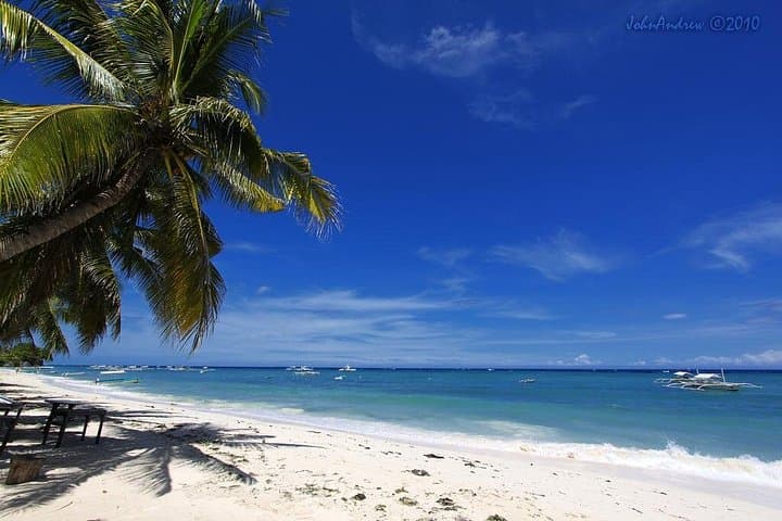 Bohol Day Tour: Chocolate Hills, Tarsiers & Loboc River Cruise photo 2