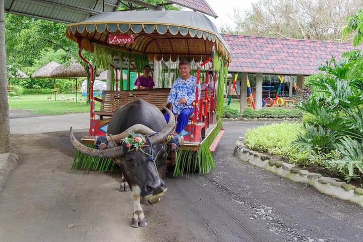 Villa Escudero Private Full-Day Shore Excursion – Traditional Filipino Plantation Experience