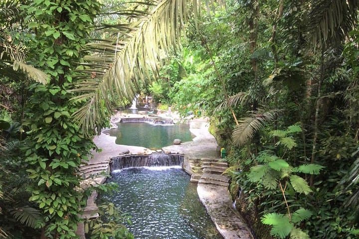 Hidden Valley Tagaytay: Private Full-Day Shore Excursion to Spring-Fed Pools