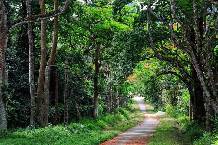 Cuc Phuong National Park Day Trip from Hanoi: Primate Rescue, Ancient Forest Trails photo 1