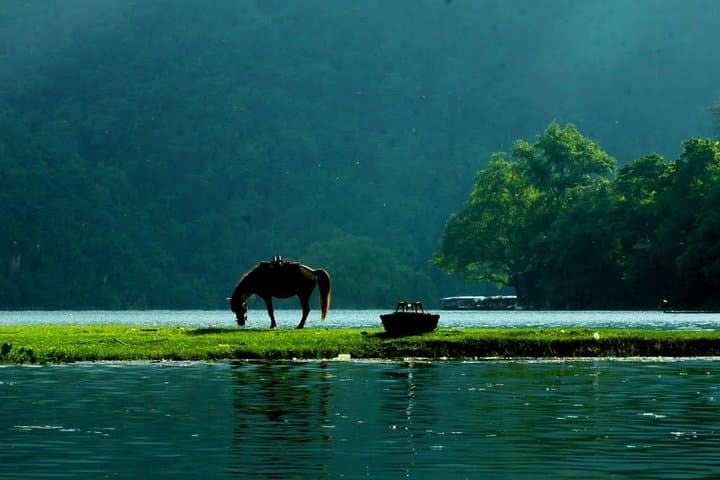 Private Transfer from Halong Bay to Sapa — Comfortable One‑Way Car with Hotel Pickup photo 4