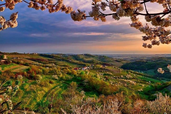 Collio Wine Day Trip: Cividale del Friuli Tastings and Hilltop Views from Trieste