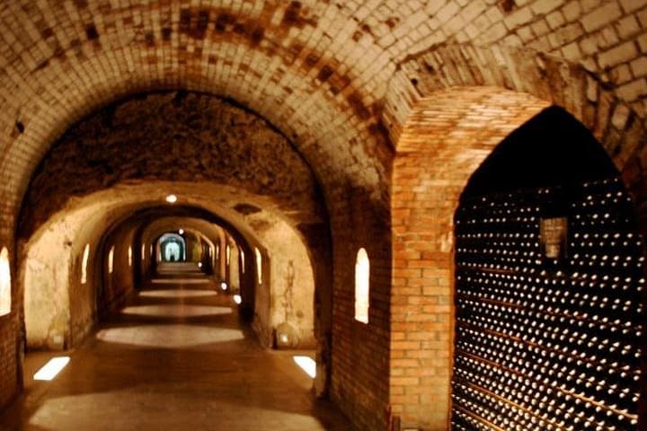 Champagne VIP Day Trip from Paris: Private Wine Expert, Reims & Cellars photo 3