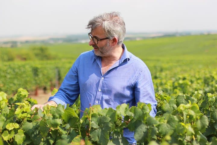Champagne VIP Day Trip from Paris: Private Wine Expert, Reims & Cellars photo 6
