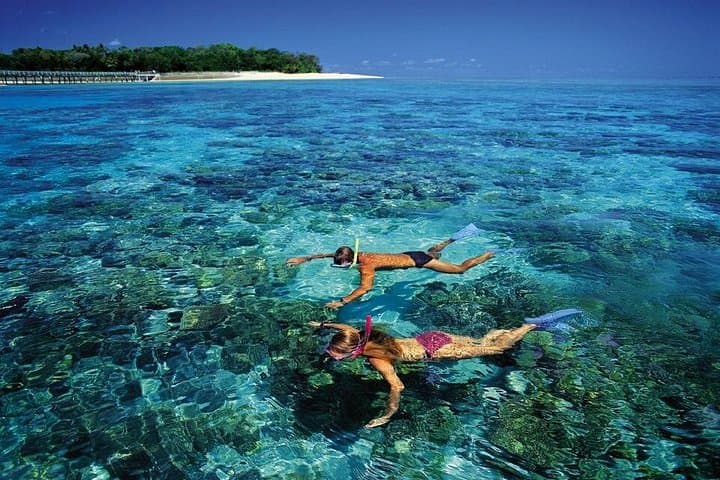Green Island Day Trip from Cairns: Snorkel, Glass-Bottom Boats & Rainforest Walks photo 3