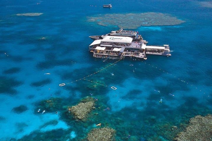 Agincourt Reef Snorkel Cruise from Palm Cove — Outer Great Barrier Reef Day Trip