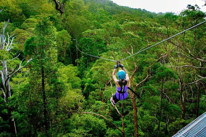 Canyon Flyer Zipline on Tamborine Mountain: Australia’s Highest & Fastest photo 2