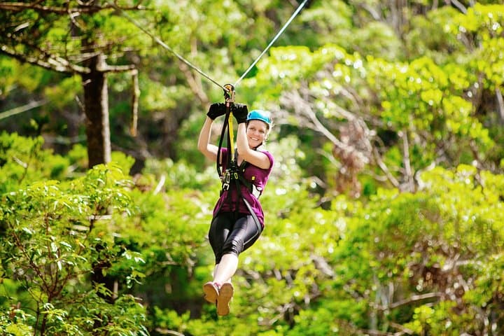 Canyon Flyer Zipline on Tamborine Mountain: Australia’s Highest & Fastest