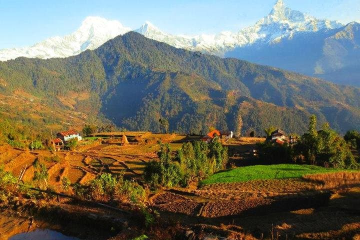 Dhampus Trek from Pokhara: 3-Day Teahouse Hike to Australian Camp & Dhampus Village