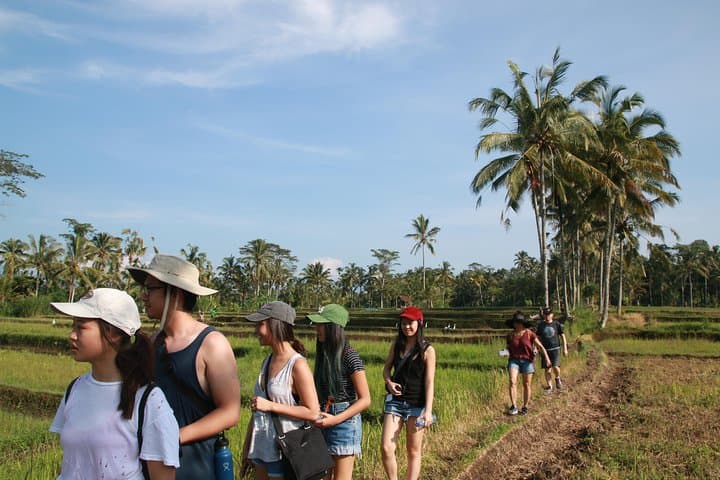 Ubud Countryside Trek: Rice Terraces, Waterfall & Holy Water Temple