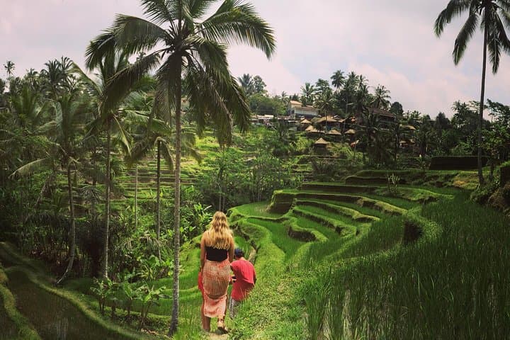 Ubud Private Tour: Balinese Culture, Rice Terraces & Holy Springs photo 1