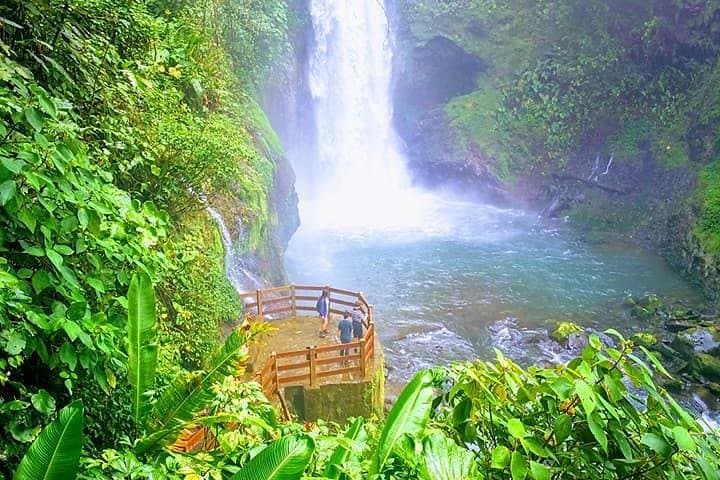 La Paz Waterfall Gardens Day Trip from San José — Waterfalls, Wildlife & Cloud-Forest Trails photo 2