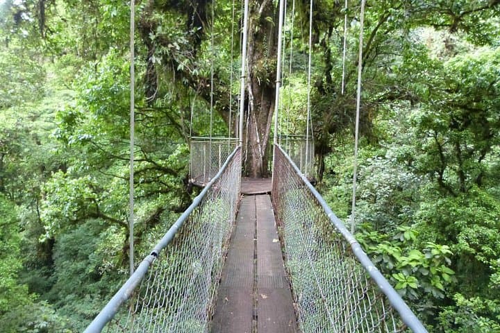 Arenal Hanging Bridges & Baldi Hot Springs: Day Trip from San José photo 2
