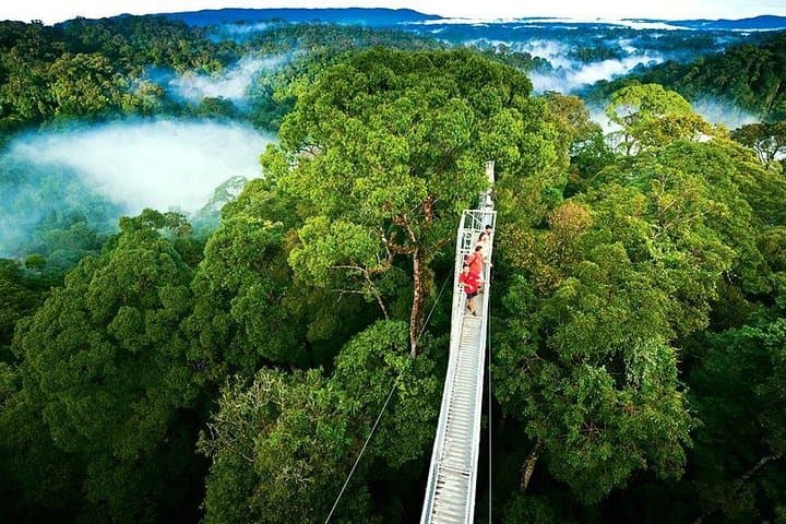 Monteverde Cloud Forest Day Trip from San José — Quetzals, Hanging Bridges & Sky Adventure photo 1
