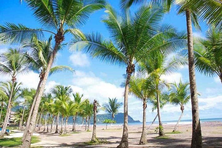 Jaco Beach ATV Adventure from San José — Day Trip to Waterfalls and Rainforest photo 2