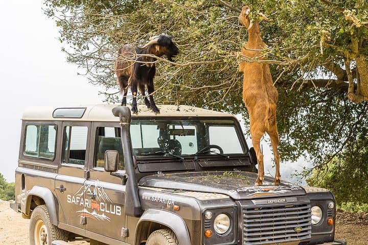 Cretan Land Rover Safari: Full-Day Minoan Route from Heraklion photo 1