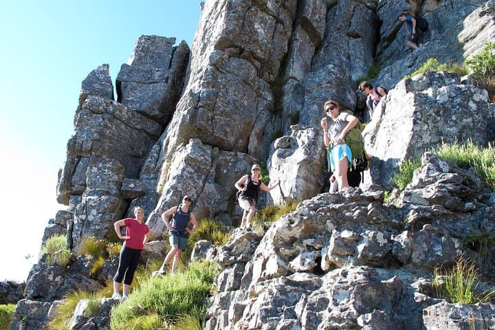 India Venster Route: Table Mountain Guided Hike from Cape Town photo 2