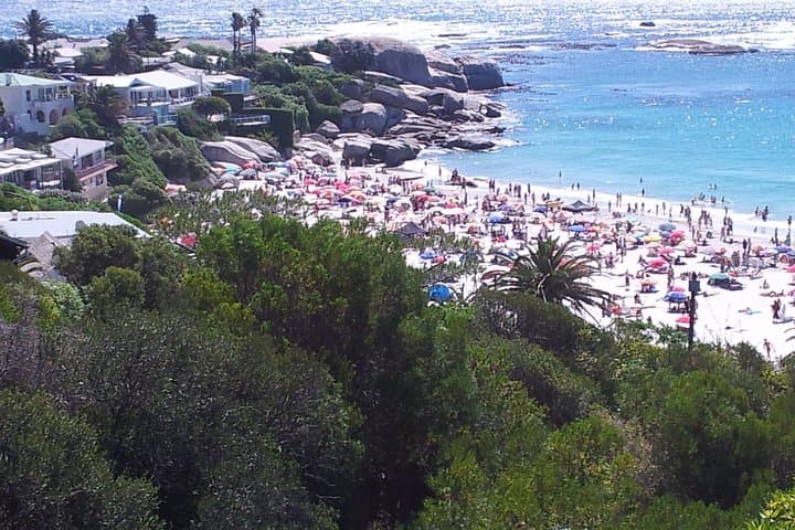 Cape of Good Hope and Winelands Day Tour from Cape Town: Cape Point, Penguins & Chapman's Peak photo 2