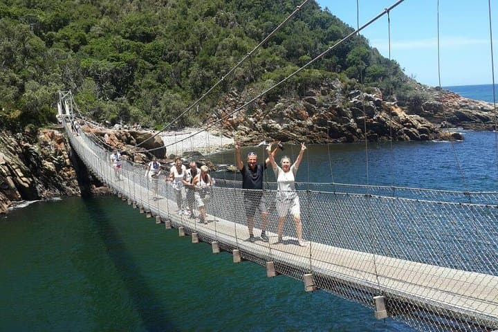 Cape2Addo Safari Adventure: 8-Day Cape Town to Addo Big 5 Tour