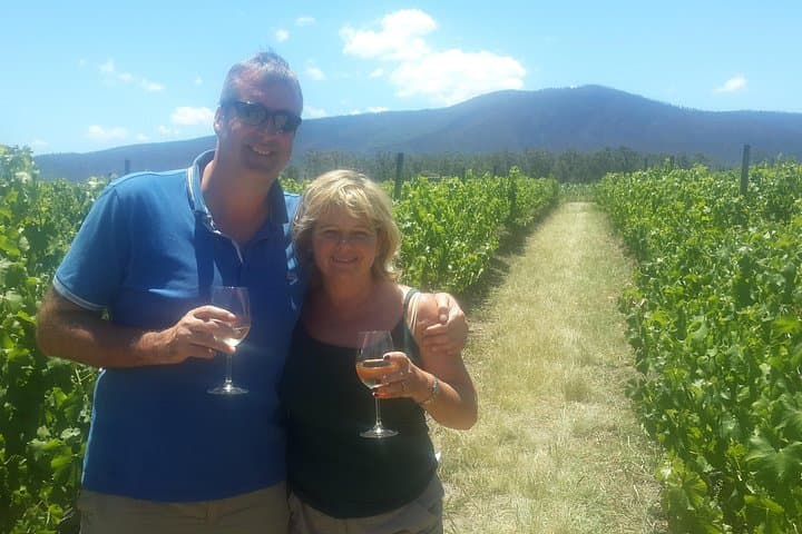 Hermanus Whales & Wine Day Trip — Southern Right Whale Watching and Hemel en Aarde Tasting photo 2