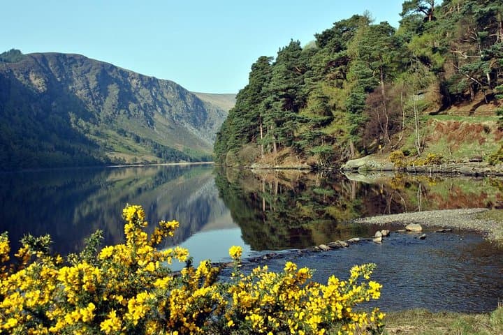 Dublin to Powerscourt, Wicklow & Glendalough: Full-Day Small-Group Tour from Dublin photo 4