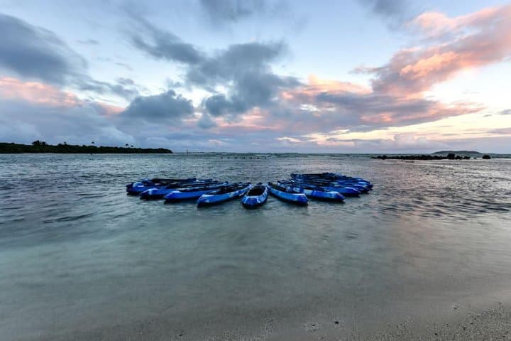 Kayak the Bio Bay in Fajardo: Guided Night Tour to Laguna Grande photo 3