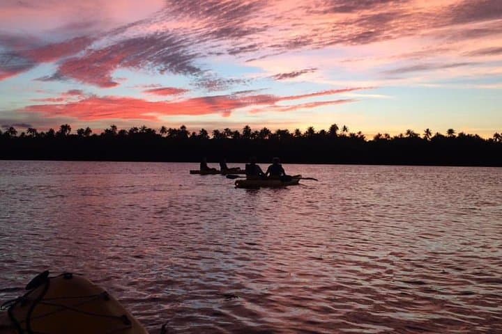 Kayak the Bio Bay in Fajardo: Guided Night Tour to Laguna Grande photo 2