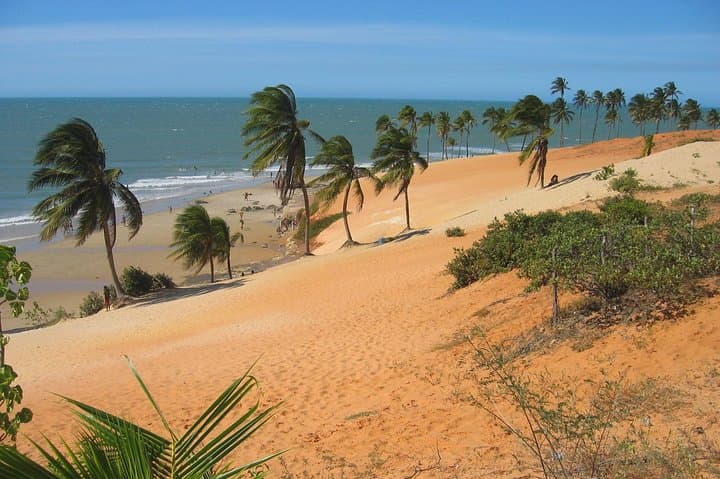Lagoinha Beach Day Trip from Fortaleza: Dunes, Jangadas & Fishing Colony