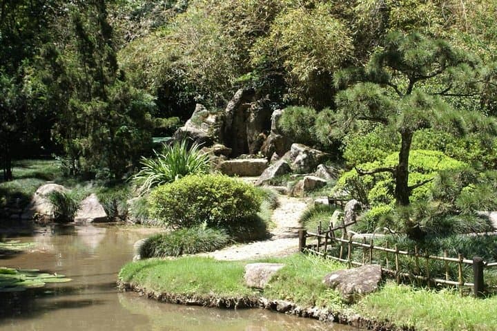 Exploring Rio’s Botanical Garden: Guided Tour of Jardim Botânico photo 2