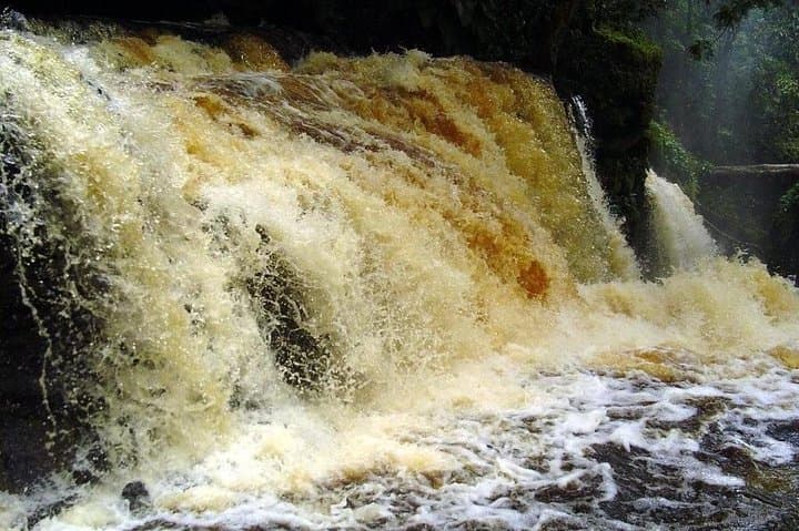 Presidente Figueiredo Waterfalls Day Trip from Manaus – Iracema & Sanctuary Falls photo 2