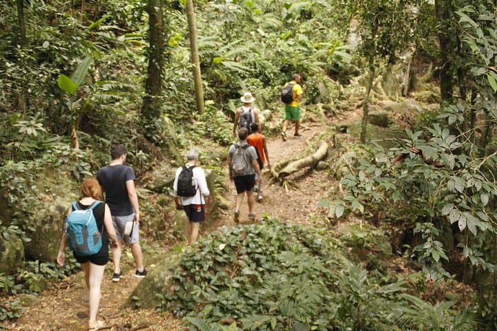 Paraty Rainforest Trek to Praia do Sono: Hike to Secluded Sono Beach photo 2