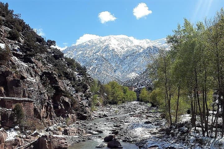 Ourika Valley Day Trip: Camel Ride, Waterfall Hike & Berber Lunch from Marrakech