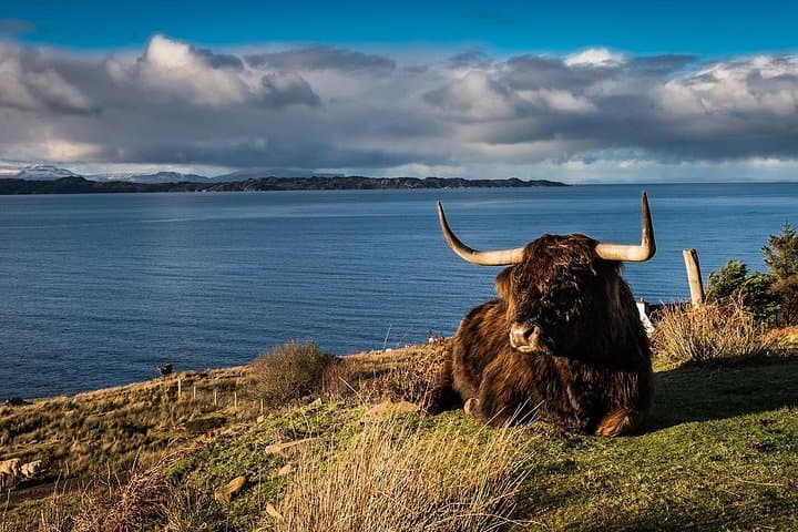 The Glory of Ross: Wester Ross Scenic Private Day Tour from Inverness