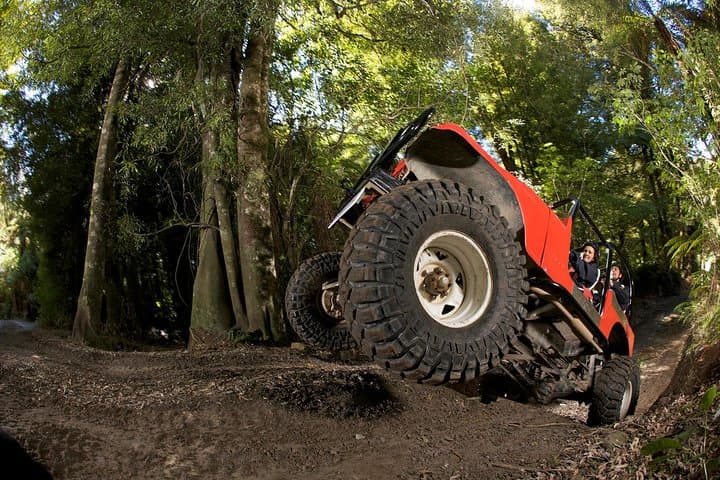 Rotorua Monster 4x4 Thrill Ride Through Native Bush photo 3