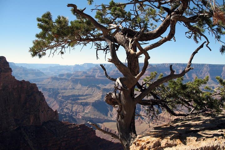 Comprehensive Grand Canyon Tour from Sedona: Explore Volcanoes, Ancient Ruins & Iconic Vistas photo 3