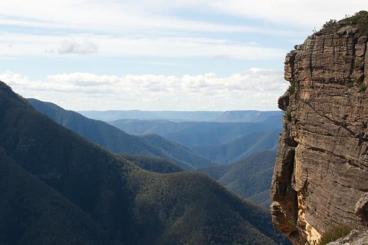 Blue Mountains private wildlife safari overnight from Sydney