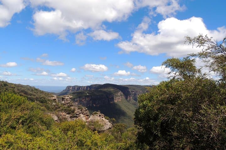 Greater Blue Mountains Wildlife Safari Overnight: 2-Day Jenolan & Kanangra Tour photo 2