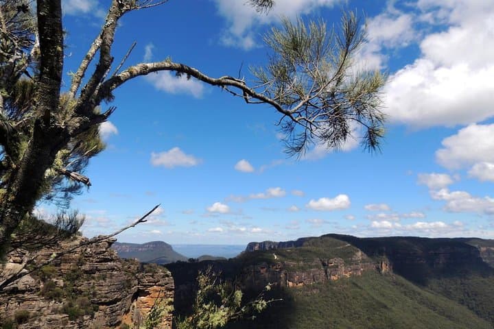 Blue Mountains Insider Day Tour from Sydney — Jamison Valley Walks, Wildlife & Hidden Lookouts photo 2