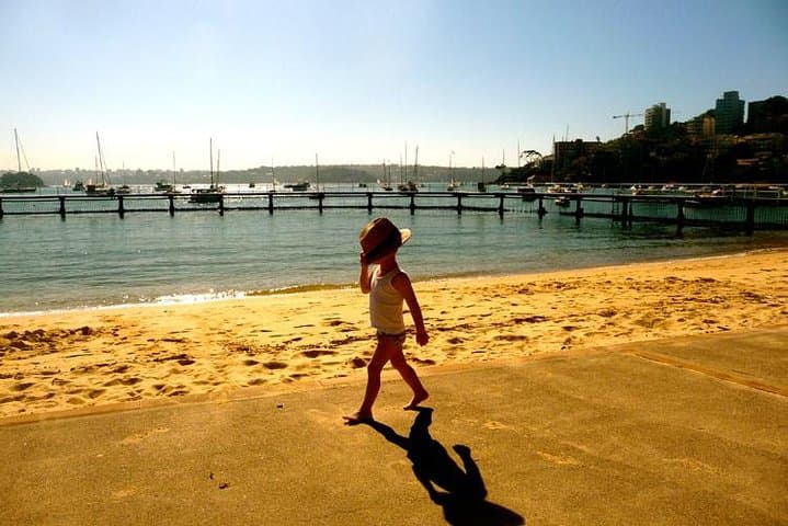 Sydney Highlights Tour: Morning or Afternoon City Sightseeing with a Local Guide