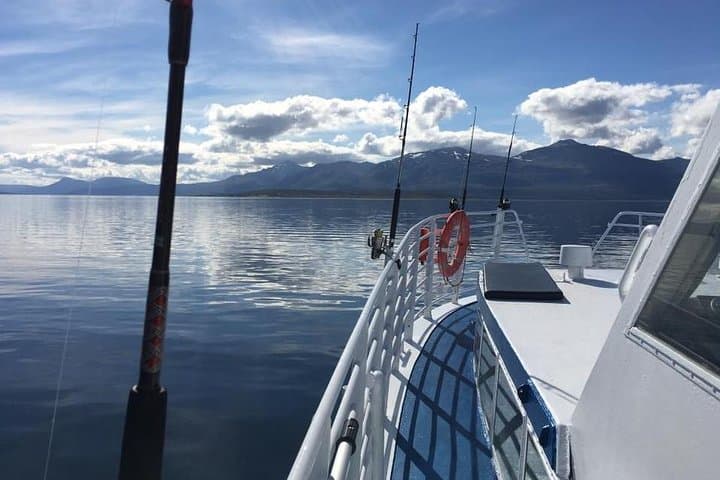 Arctic Fjord Fishing From Tromsø: Half-Day Boat Trip with Local Fishermen photo 2