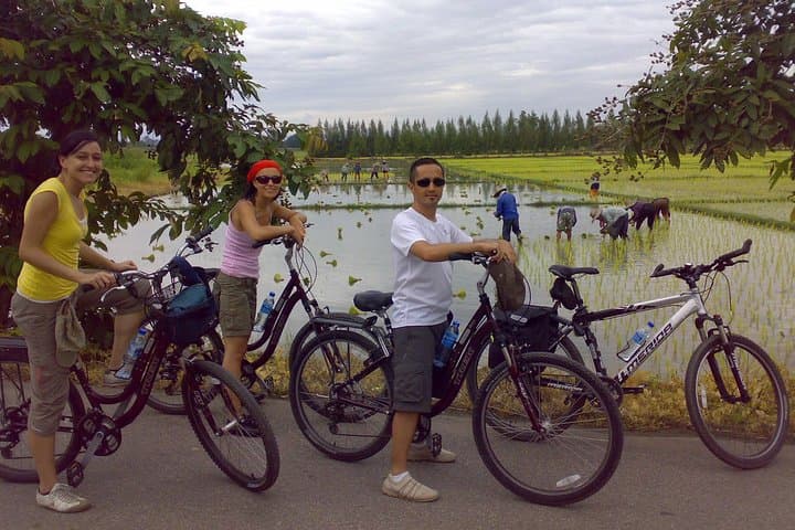 Pedaling Paradise