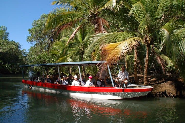 Isla Damas Monkey & Mangrove Boat Tour from Jacó — Wildlife Cruise and Photography Guide