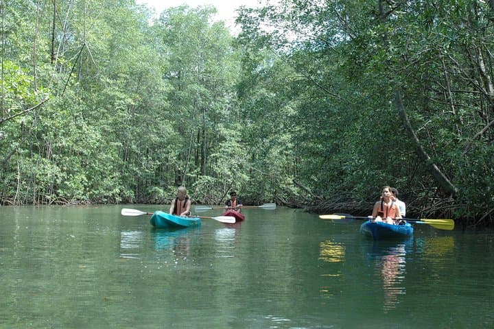 Paddle Isla Damas: Mangrove Kayaking Tour from Jacó with Wildlife Viewing photo 2