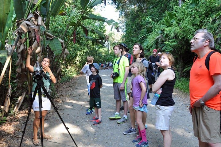 Hike Manuel Antonio National Park: Wildlife, Beaches & Tropical Trails from Jacó photo 6
