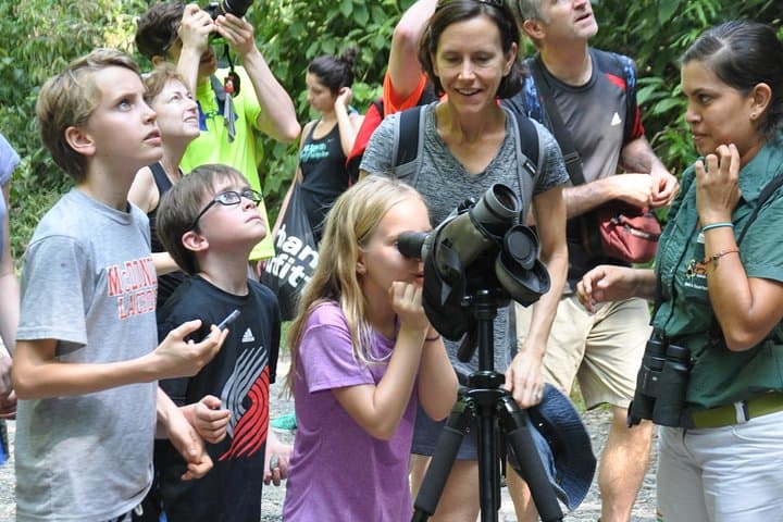 Hike Manuel Antonio National Park: Wildlife, Beaches & Tropical Trails from Jacó